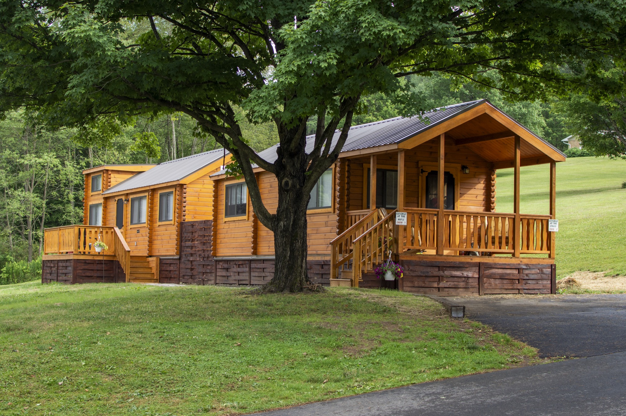 Cabin stay at Gary's